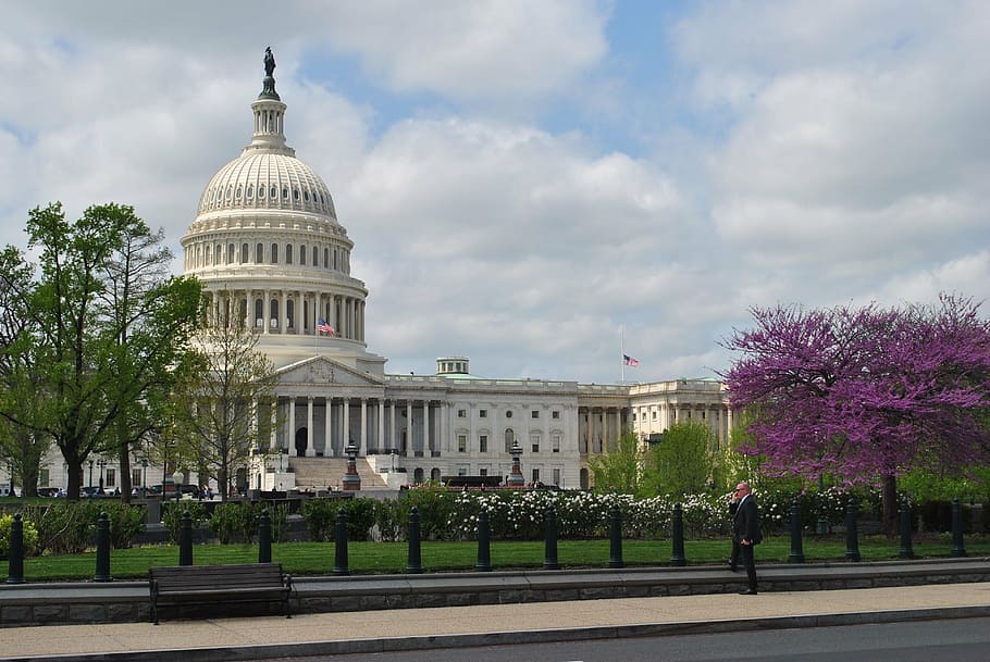 White House, Washington DC, us capitol, building, architecture, HD wallpaper