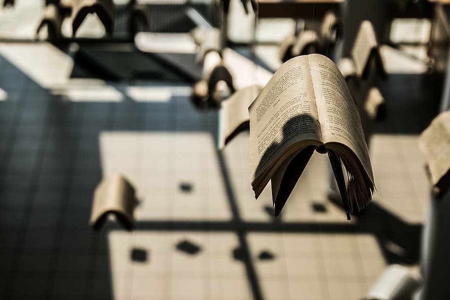 flip book, exposition, composition, poland, zeromski, kielce HD wallpaper