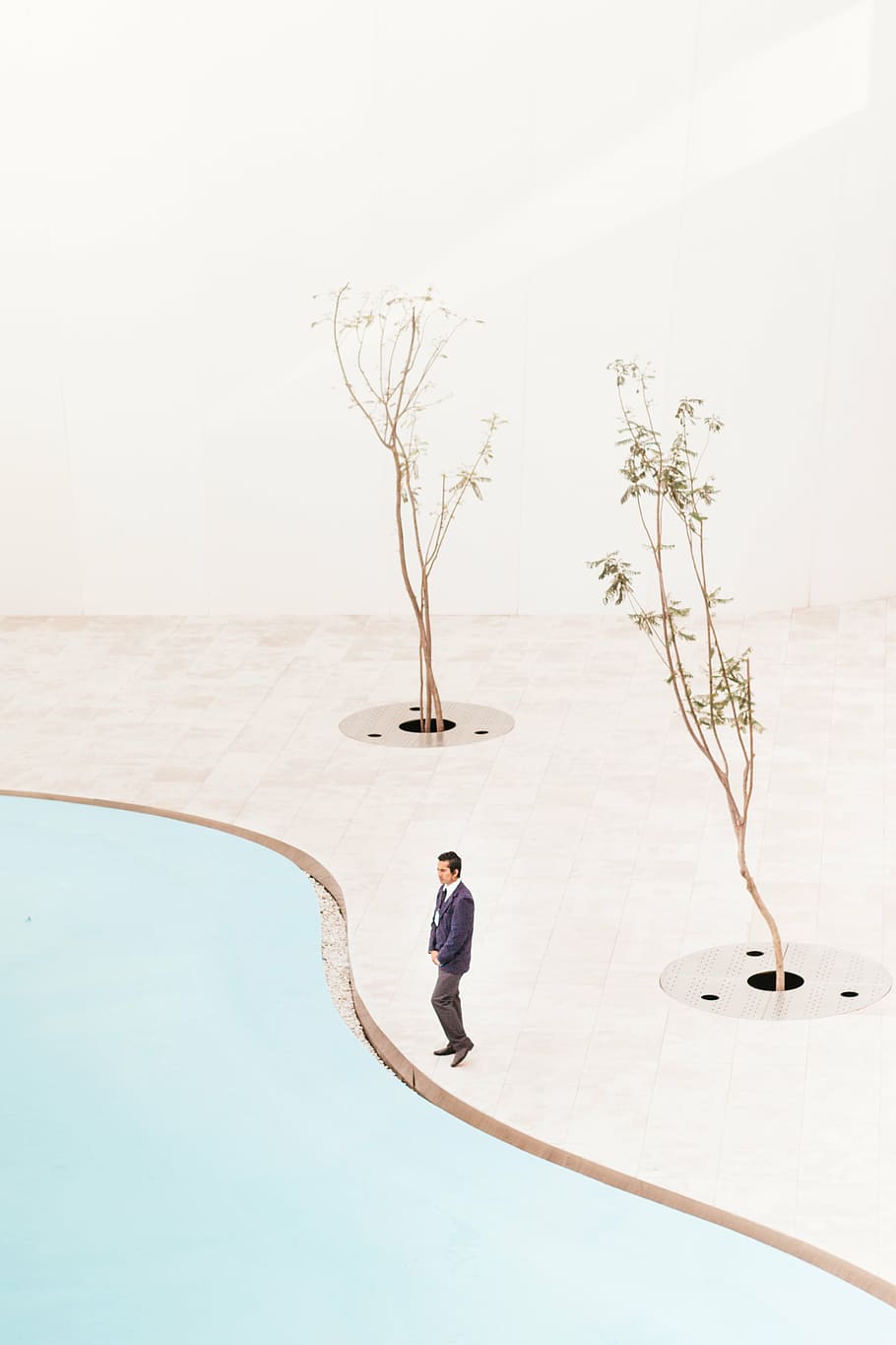 man standing near tree digital wallpaper, people, alone, plant HD wallpaper