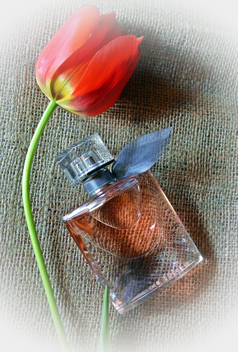 Tulip flower perfume hot sale