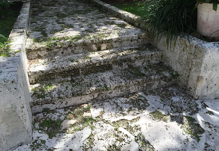 gray concrete 3-step tair, Path, Walkway, Coquina, Stone, Shells HD wallpaper