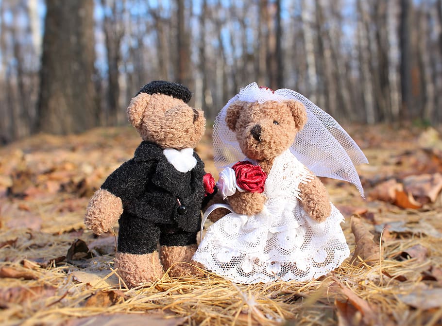 two groom and bride bear plush toys near dried leaves, wedding