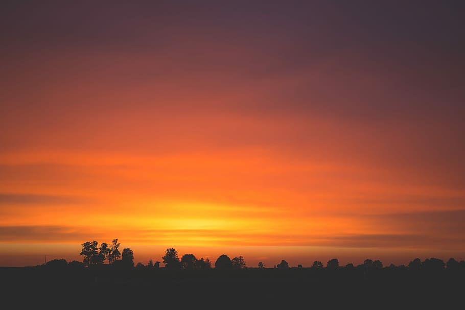 silhouette of trees, panoramic photography of sunset, sky, dusk HD wallpaper