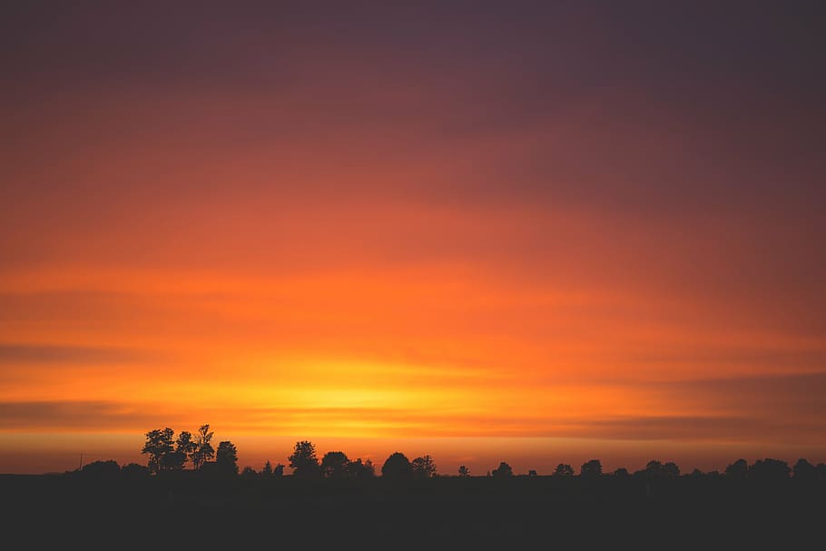 silhouette of trees during sunset, photo, forest, dusk, sky HD wallpaper