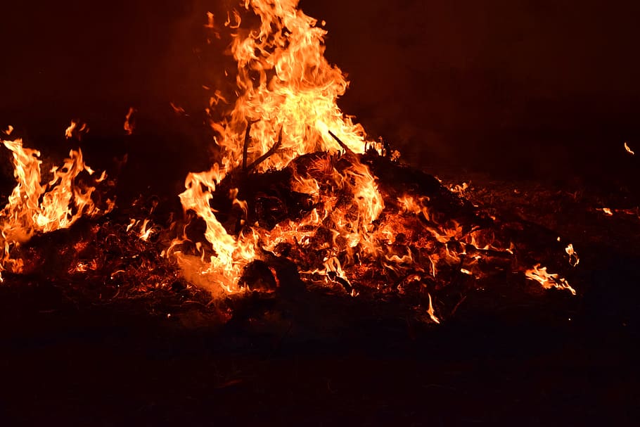 Fire, Flame, Burn, Wood, Campfire, wood fire, beautiful, background HD wallpaper