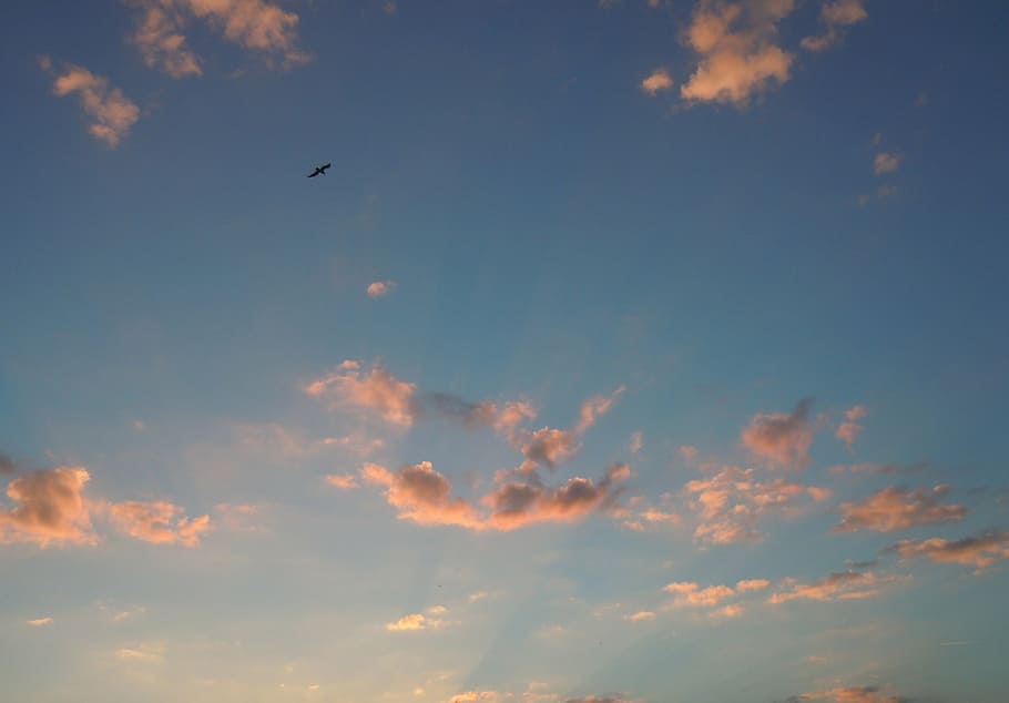 sky, pink clouds, evening light, cloud - sky, beauty in nature HD wallpaper