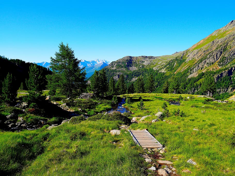 mountains, web, nature, bridge, landscape, away, boardwalk HD wallpaper