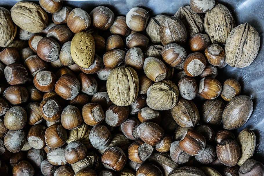 nuts, hazelnuts, walnuts, food, healthy, vegetarian, almond HD wallpaper