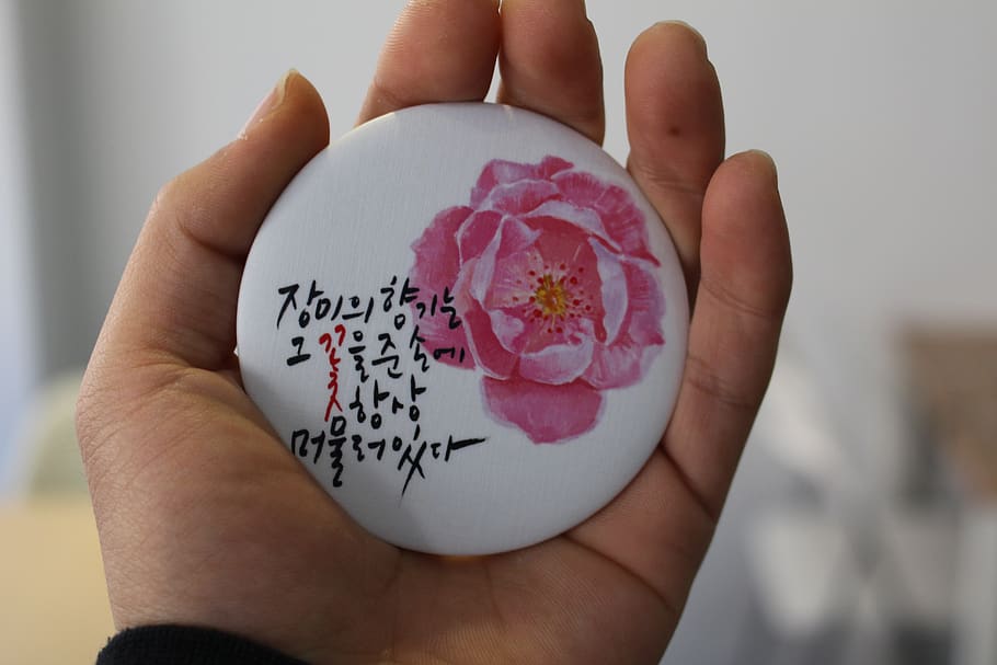 hand mirror, rose, calligraphy, human hand, holding, human body part HD wallpaper