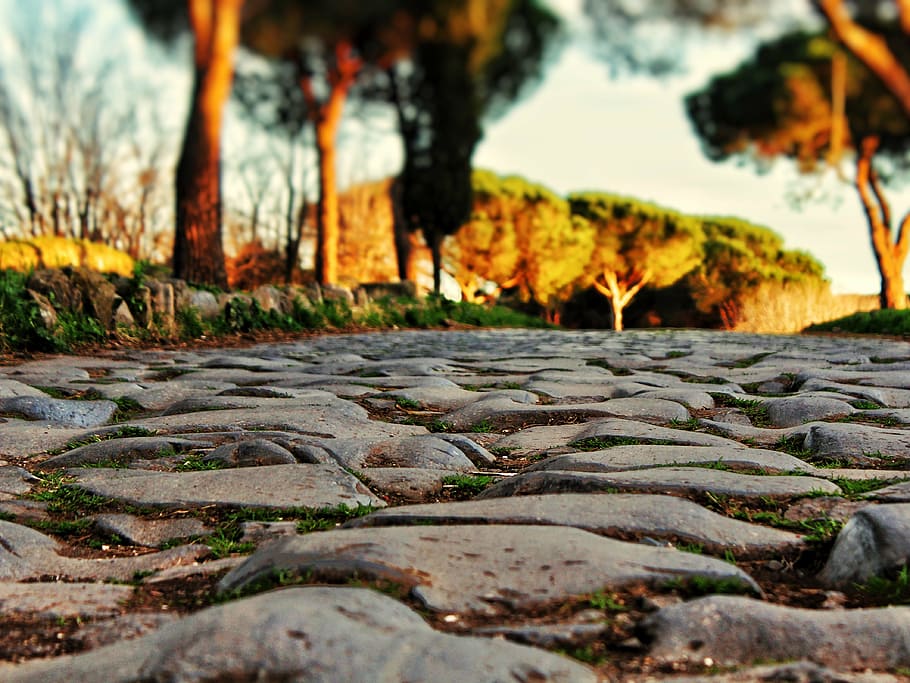 gray rocky road, ancient, rome, ancient rome, italy, roma capitale HD wallpaper