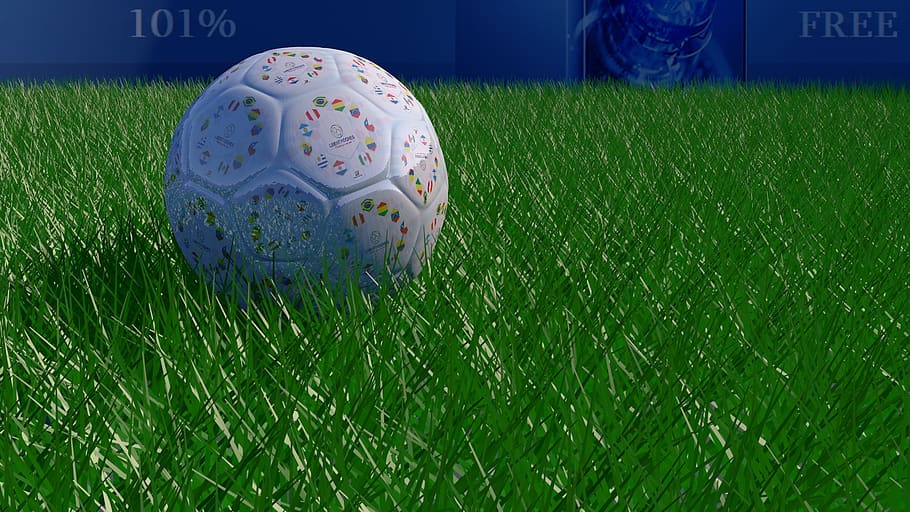 grass, ball, goal, green color, plant, no people, sport, communication HD wallpaper