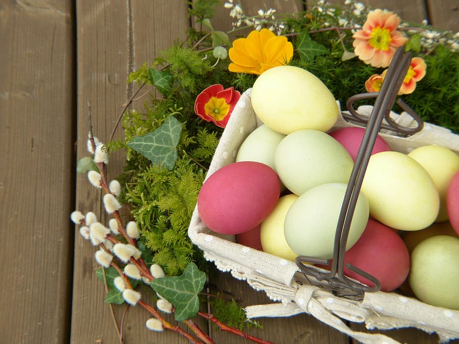 dozen of egg on basket near green garland, easter eggs, colored