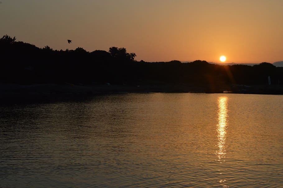sunshine, summer, sunlight, holiday, natural, landscape, sunrise HD wallpaper