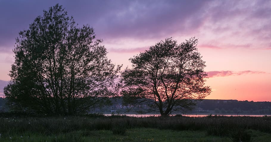 Trees, Sunset, Lake, Natural, View, sky, water edge, silence HD wallpaper