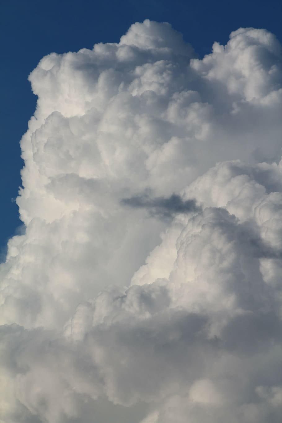cloud, summer, blue sky, cloud - sky, beauty in nature, low angle view HD wallpaper