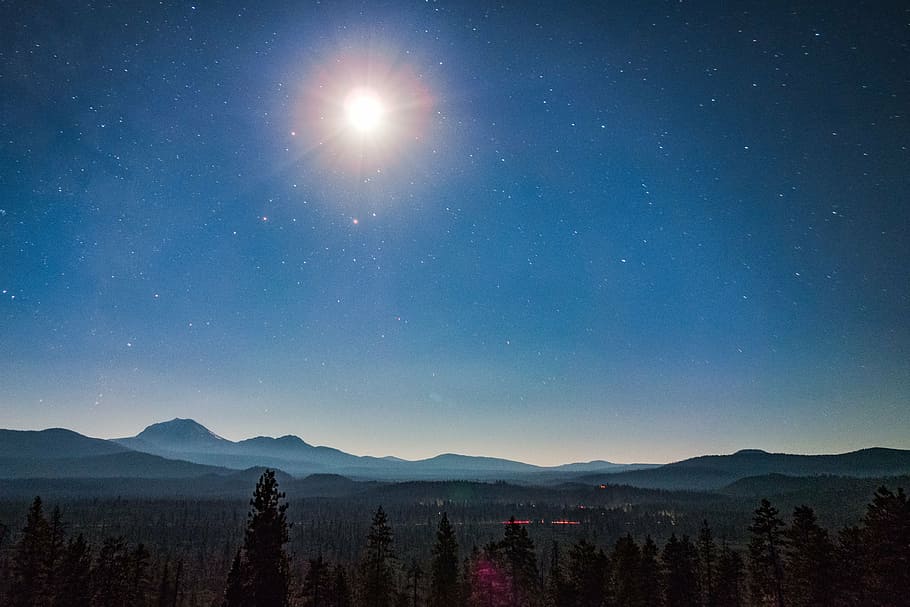 pine trees during nighttime, mountain, peak, plant, nature HD wallpaper