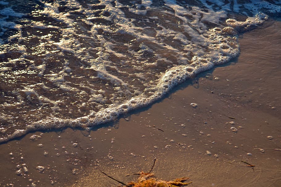 ocean, wave, shore, beach, surf, ocean waves, tide, foam, outdoor HD wallpaper