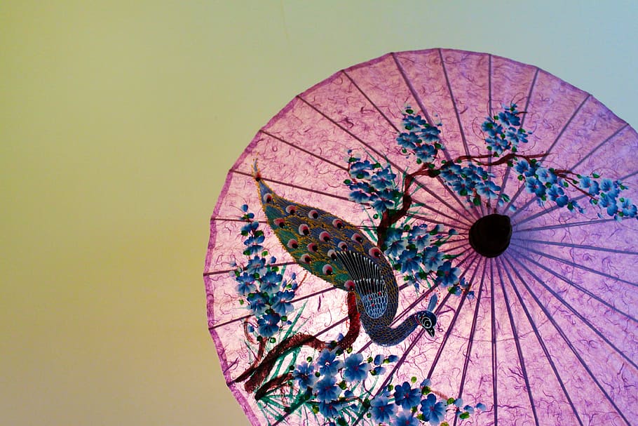 pink and blue peacock painting print floral umbrella, thailand, HD wallpaper