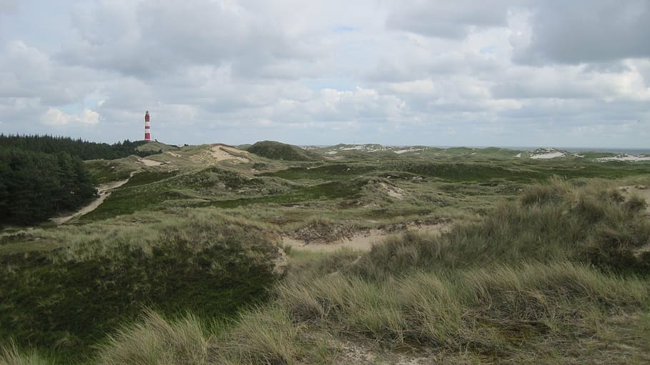 amrum, sky, dunes, nature, lighthouse, cloud - sky, grass, plant