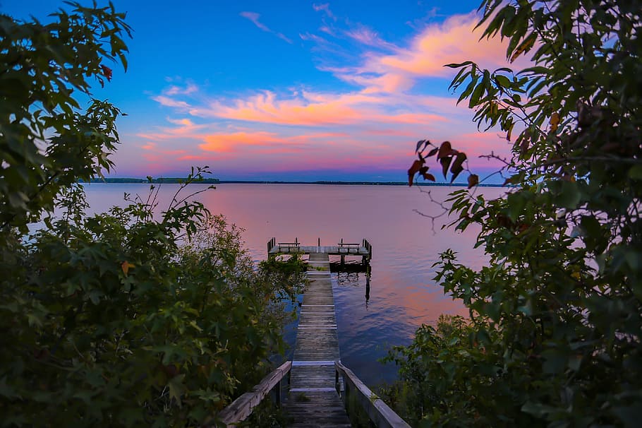 brown dock in body of water near trees, empty lake dock under blue skies HD wallpaper
