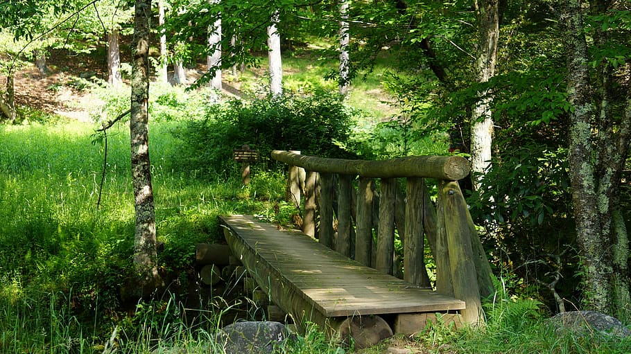 bridge, dolly, sods, wilderness, virginia, wooden, forest, scenic HD wallpaper