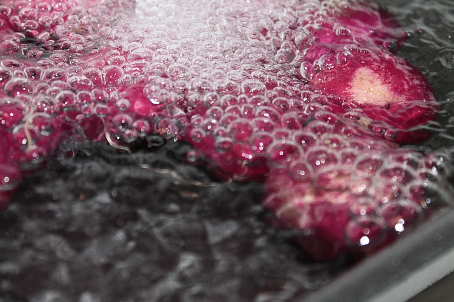 water bubbles, radischen, air bubbles, blow, close-up, freshness HD wallpaper