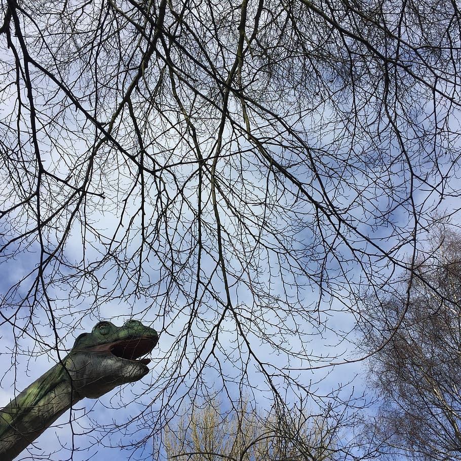Dinosaur, Trees, Animal, Reptile, sky, nature, prehistoric HD wallpaper