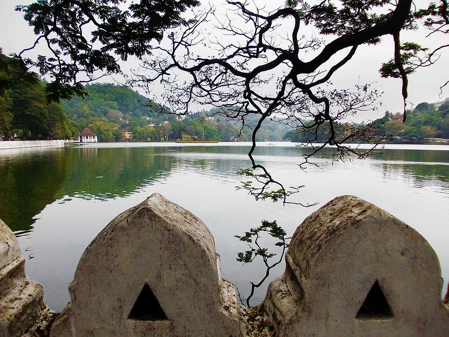 Kandy Lake, Tree, Lake, Park, Sri Lanka, mawanella, ceylon, HD wallpaper