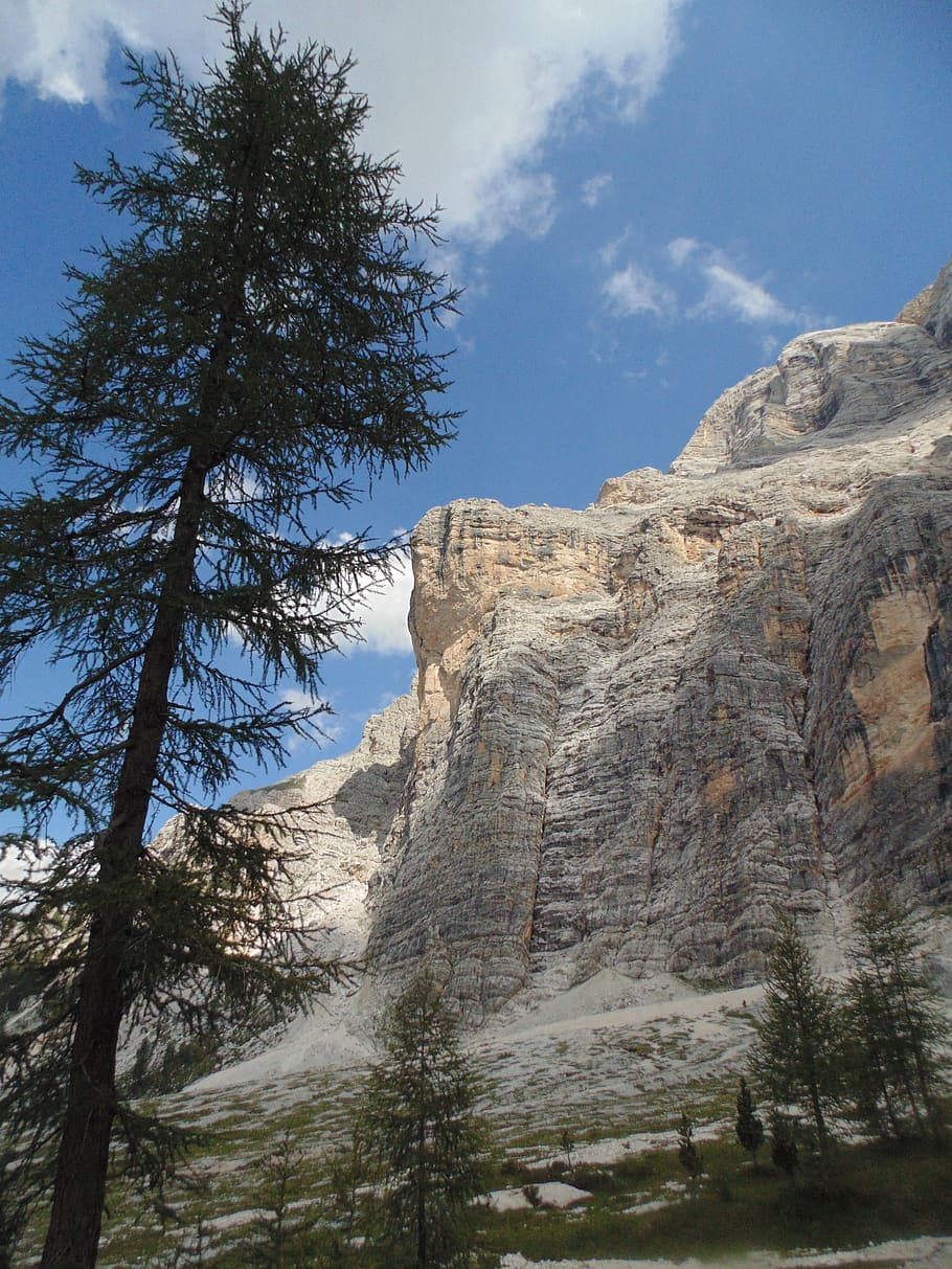 mountain, tree, sky, rock, ferrata, trees, mountains, landscape HD wallpaper
