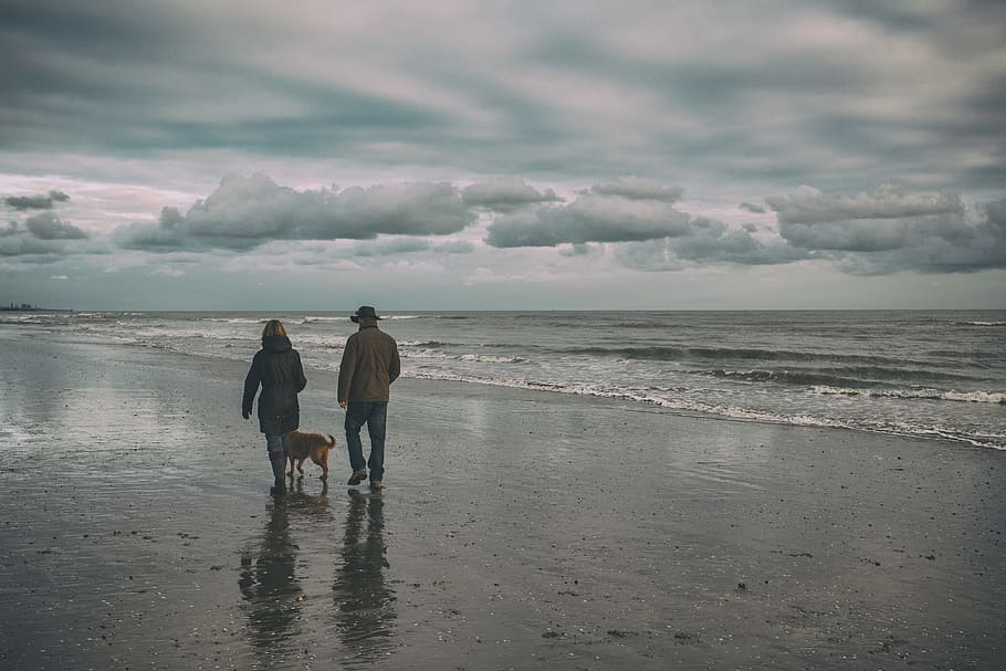 A couple walk their dog on a winter’s day on Camber Sands in East Sussex, England, HD wallpaper