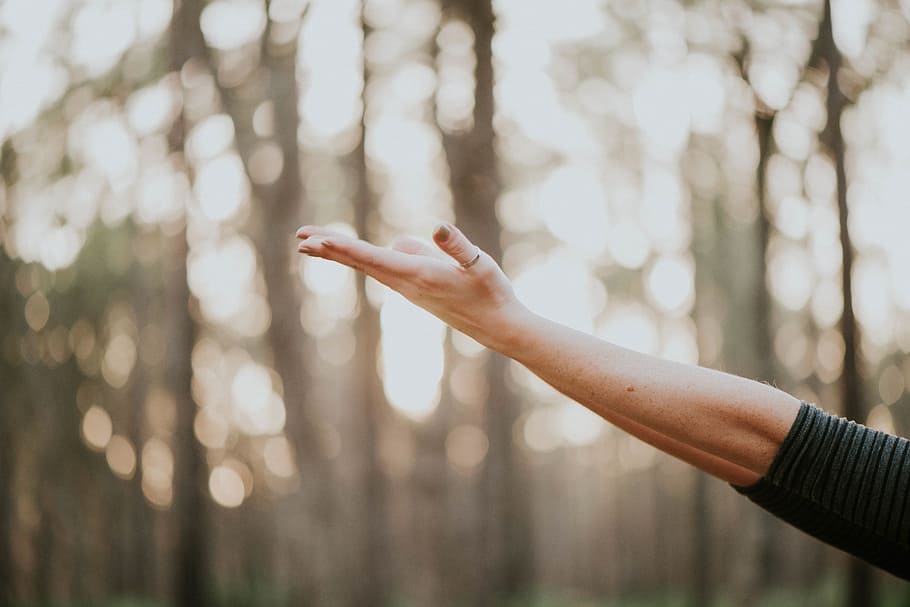 hand, ring, arm, nature, blur, human body part, human hand HD wallpaper