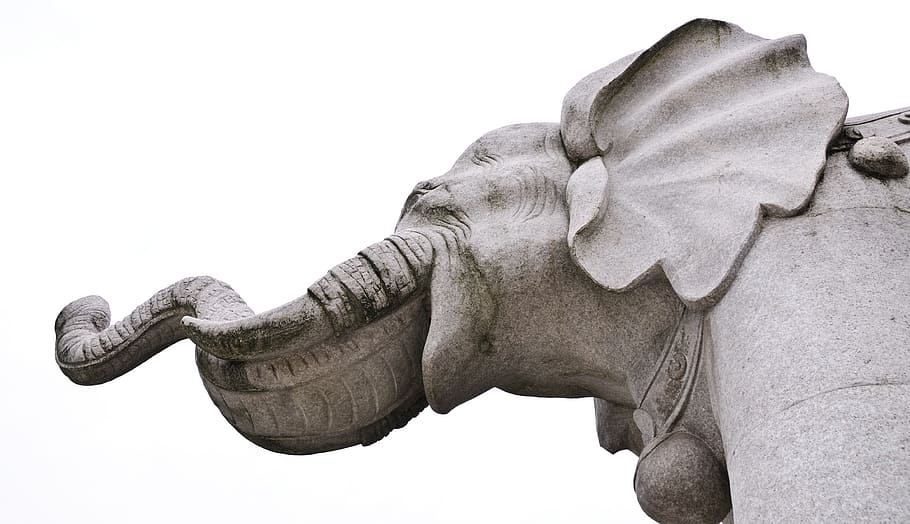 Elephant, Statue, pierre, white background, sculpture, military, HD wallpaper