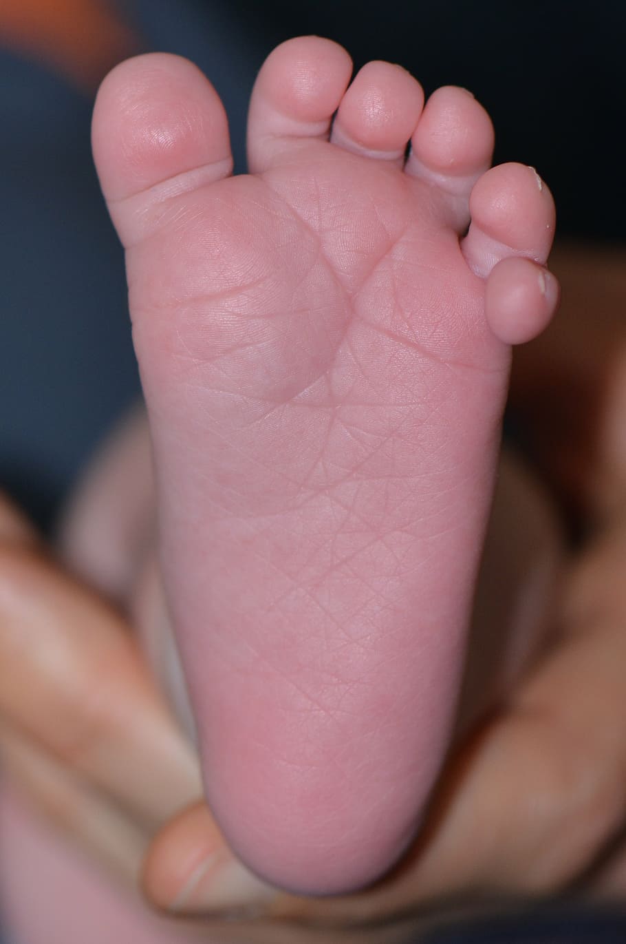 baby foot, toes, six toes, human body part, young, barefoot, HD wallpaper