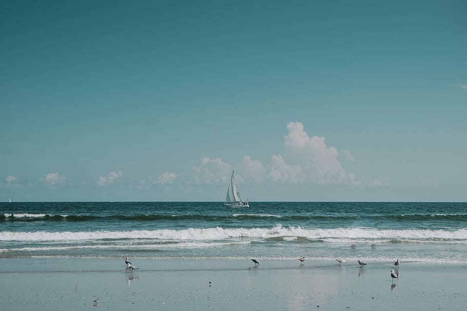 sailboat near seashore during daytime, white, middle, clear HD wallpaper