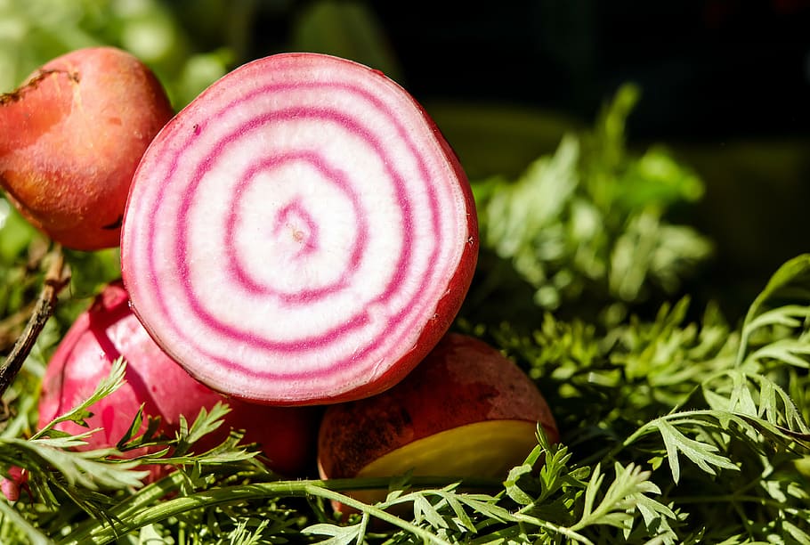 macro shot photography of sliced root crop, beetroot, turnip HD wallpaper