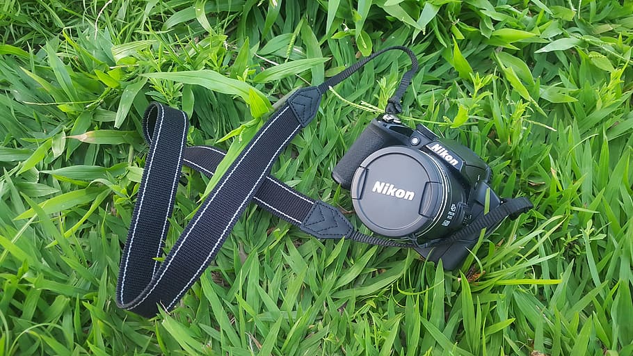 camera, nikon, grass, green, lawn, summer, nature, equipment HD wallpaper