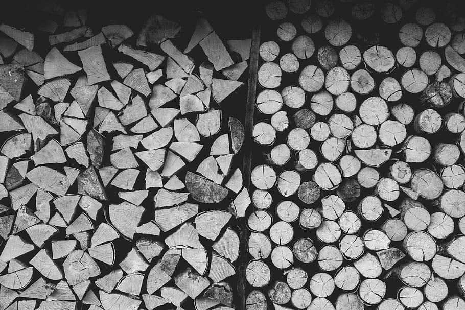 wood chunks lot, untitled, timber, kindling, tree, circle, log HD wallpaper