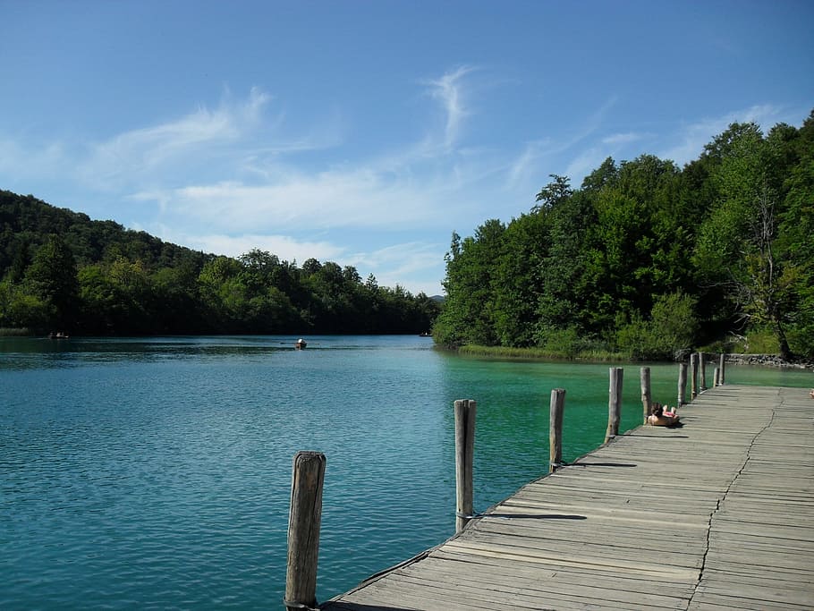 web, boardwalk, pier, plitvice lakes, nature, croatia, national park HD wallpaper