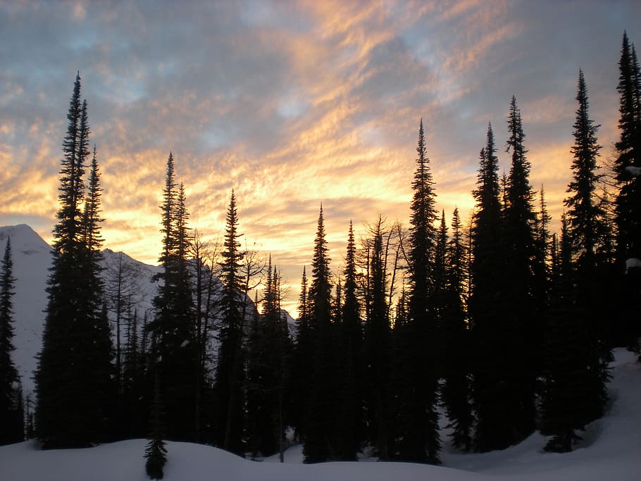 mountains, winter, trees, landscape, snow mountain, mountain landscape HD wallpaper