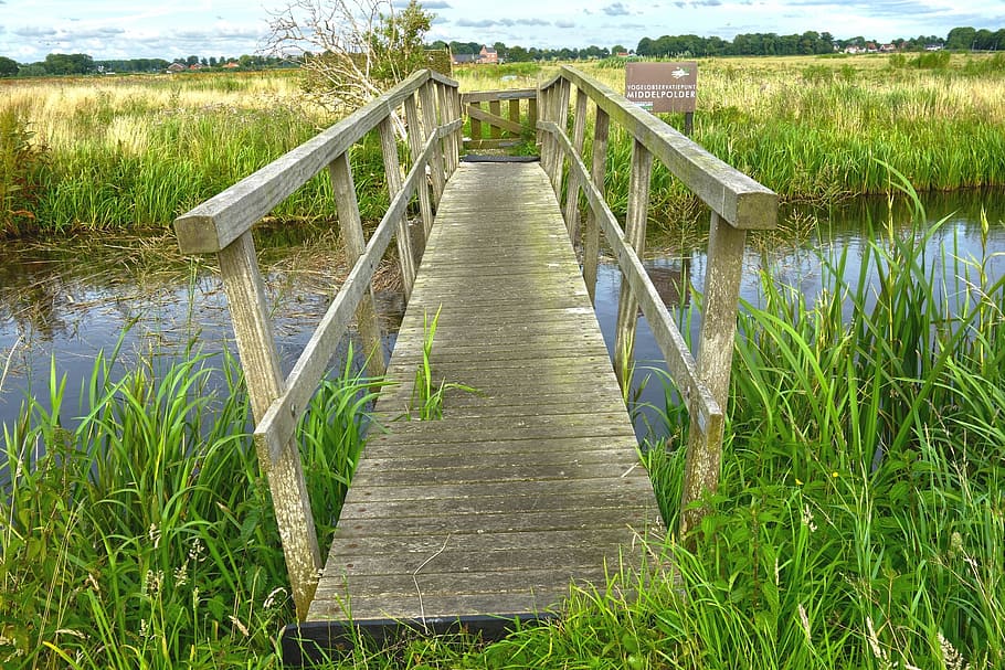 ditch, canal, bridge, rural, countryside, nature, outdoor, summer HD wallpaper