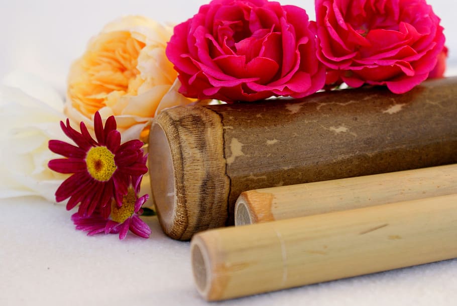 pink flowers on brown wooden tube, wellness, spa, bless you HD wallpaper