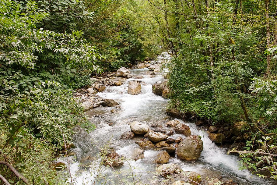orsomarso, calabria, torrent, argentine stream, water, forest, HD wallpaper
