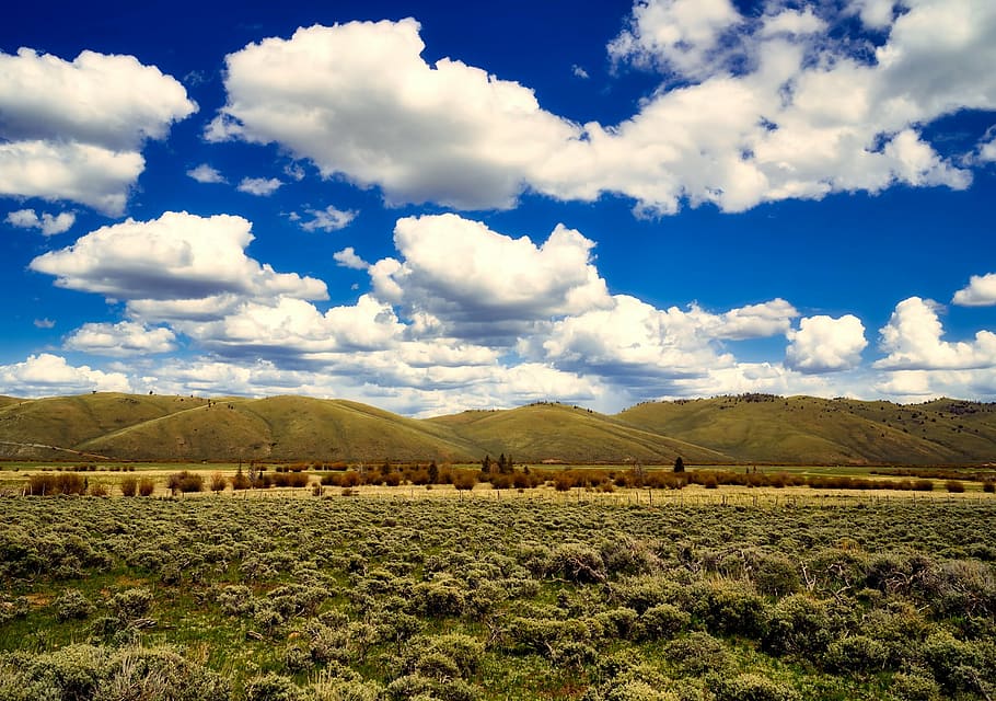 green bushes near mountains during daytime, colorado, hills HD wallpaper