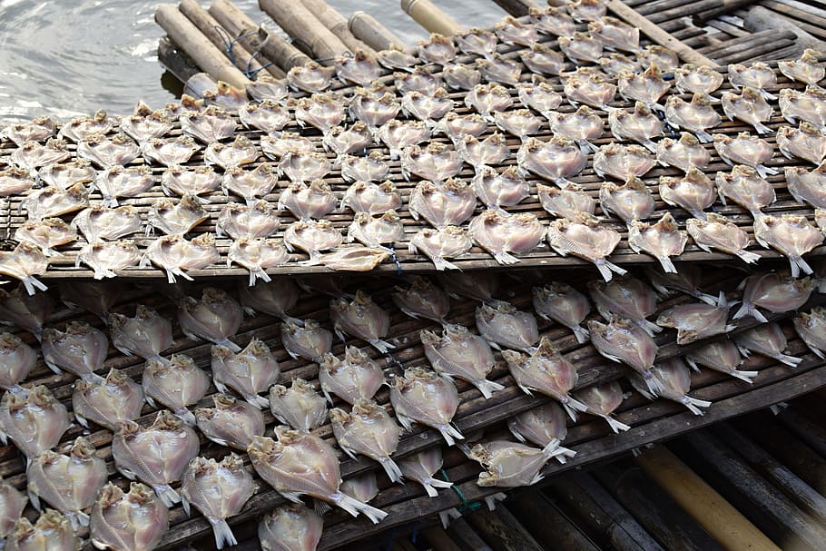 fish, more, dried fish, indonesia, food, seafood, food and drink HD wallpaper