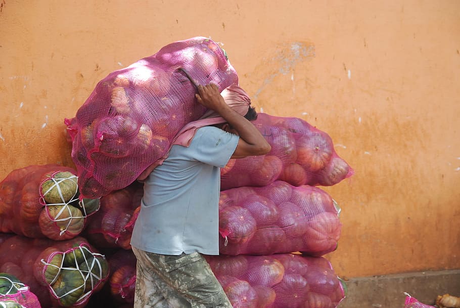 man carrying red mesh bag, man carrying bag of squash, person HD wallpaper