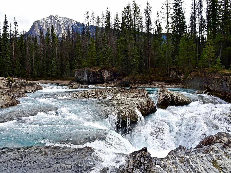 Rapids, Waterfall, Cascade, Scenic, flowing, mountain, environment HD wallpaper