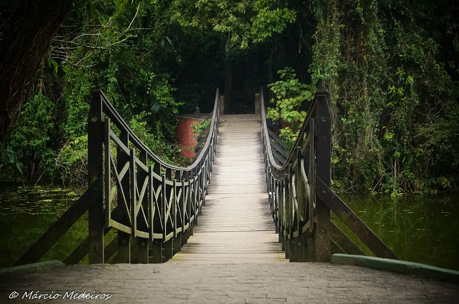 Bridge, Pond, Santos, rio, lagoa da saudade, nature, ride, railing HD wallpaper