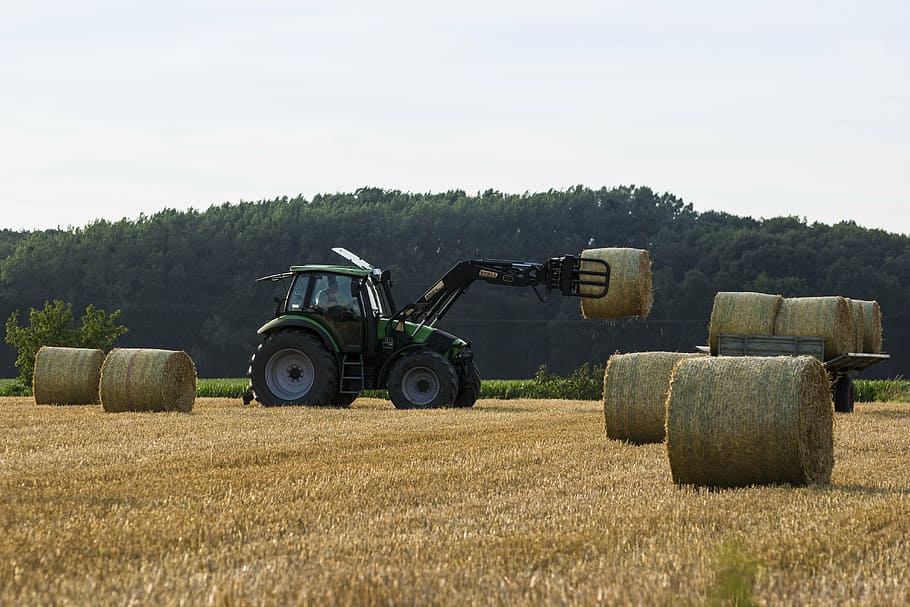 green and black hay collector truck on field carrying hay towards truck HD wallpaper