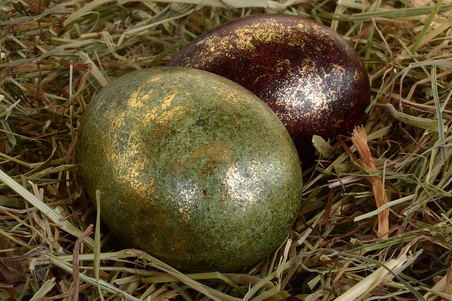easter eggs, decoration, easter decoration, happy easter, green HD wallpaper