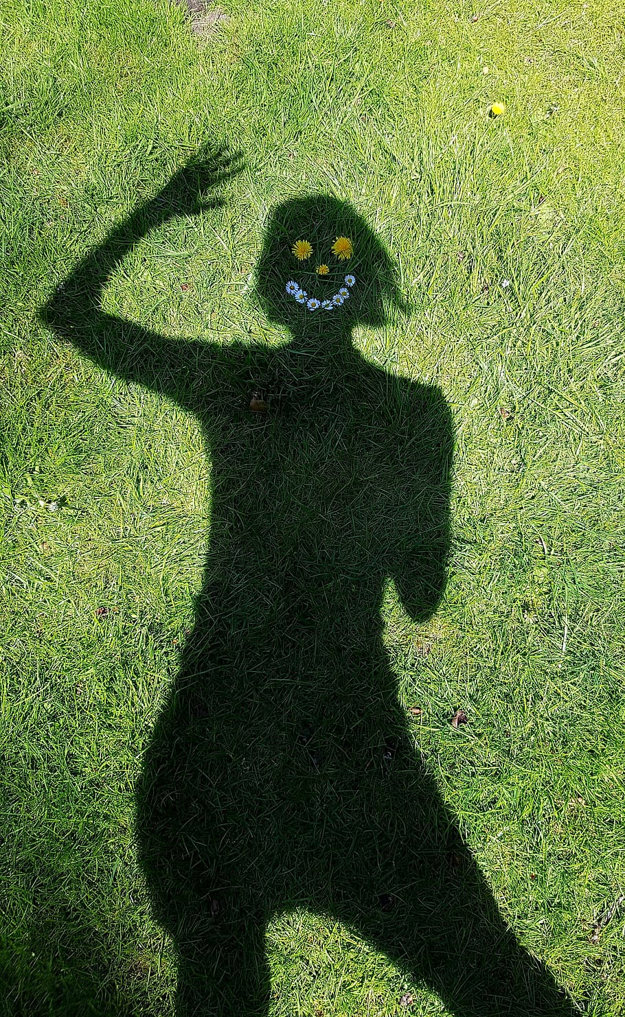 silhouette of person on grass, wave, shadow, cheerful, luck HD wallpaper